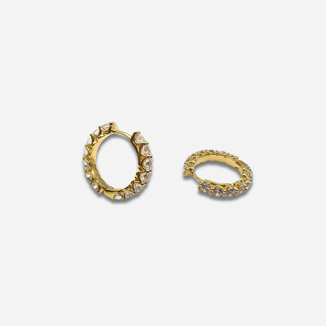 CARLY Gold Earrings