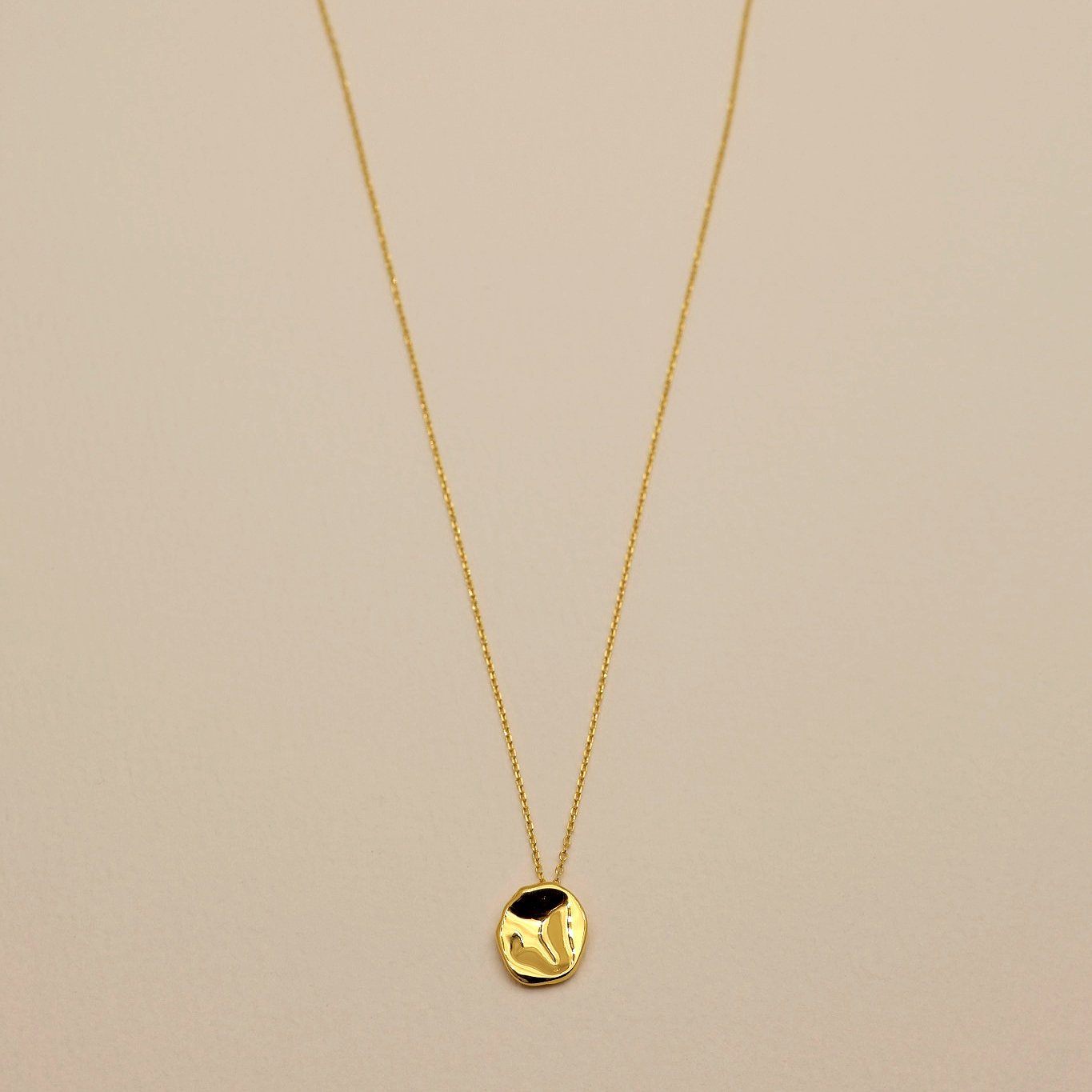 Polished gold vermeil coin pendant necklace on chain – MOA Jewelry