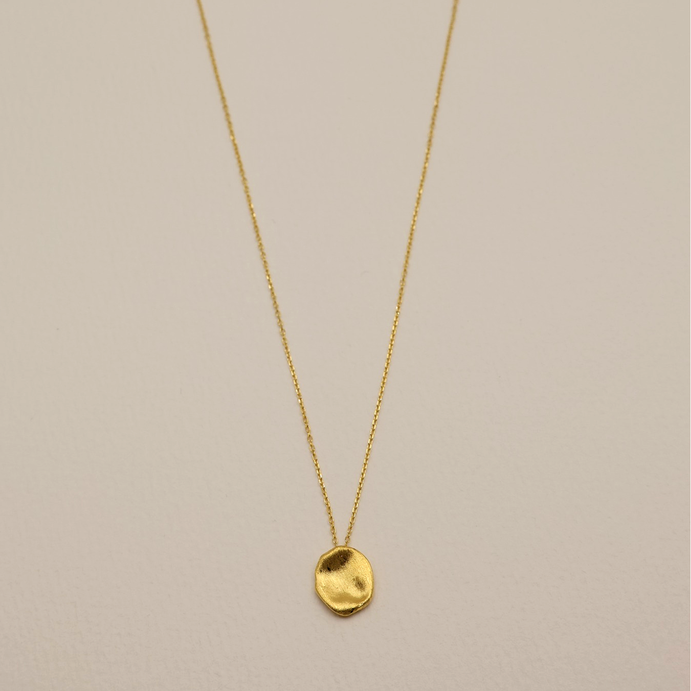 Léontine Necklace full view—delicate gold vermeil chain suspended with a sculptural, textured disc pendant.