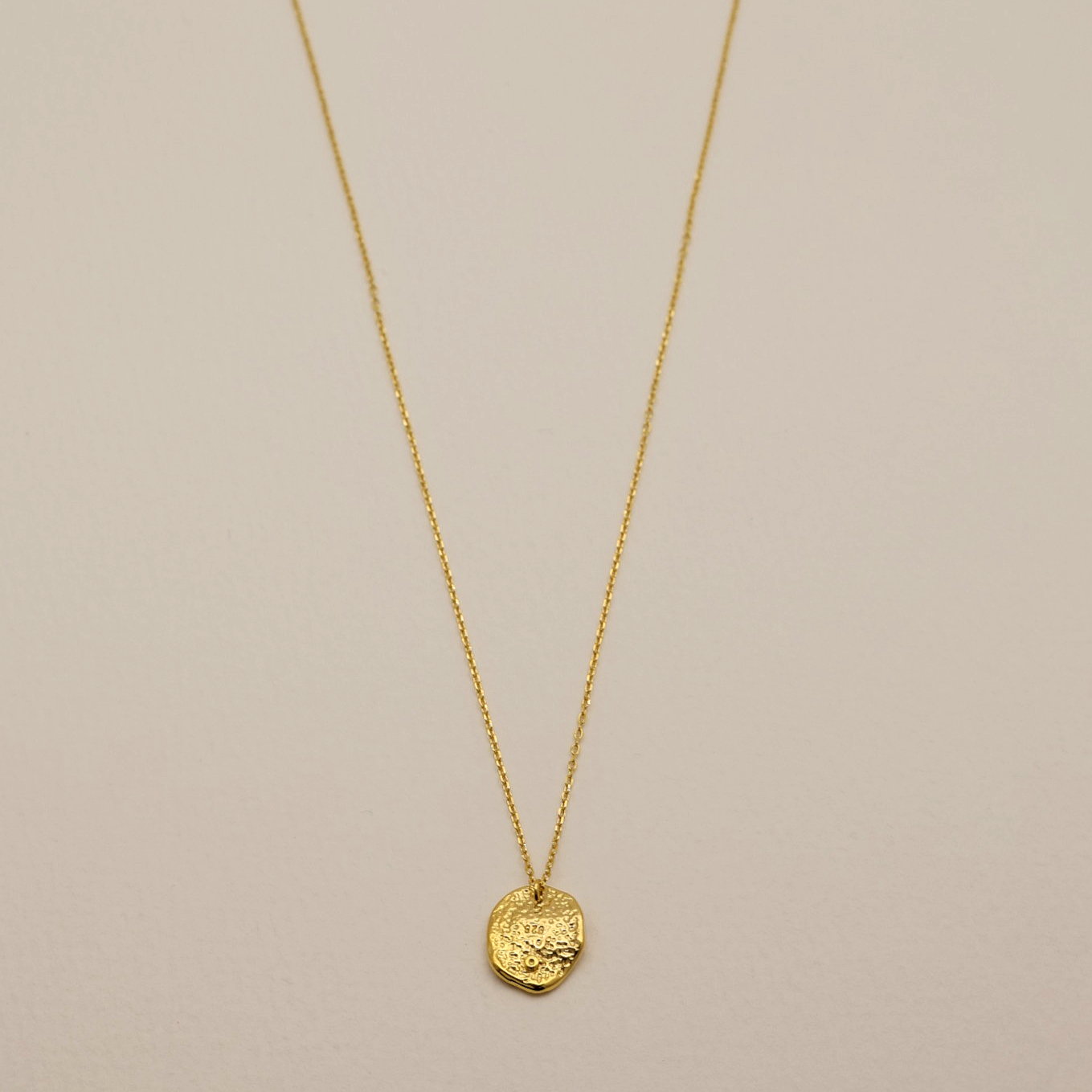 Léontine Necklace full view—delicate gold vermeil chain suspended with a sculptural, textured disc pendant.
