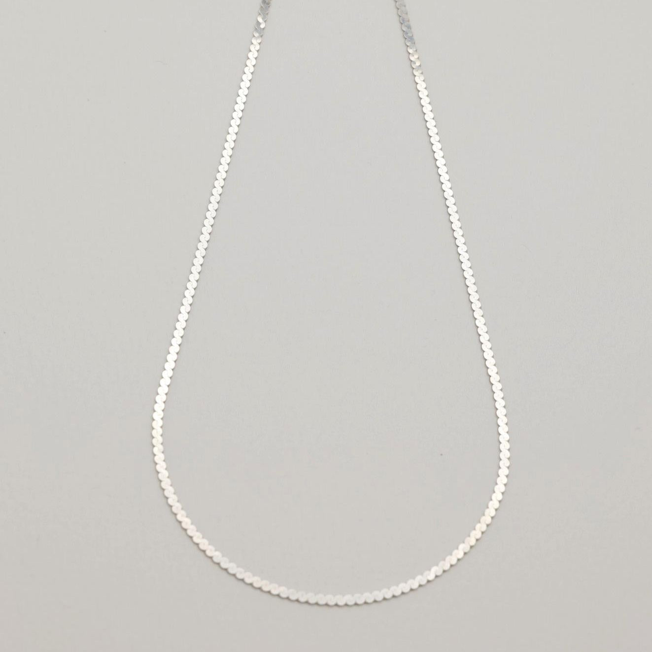 A sterling silver flat chain necklace with bold interlinked discs and a polished finish, shown in close-up and full length on a neutral background.