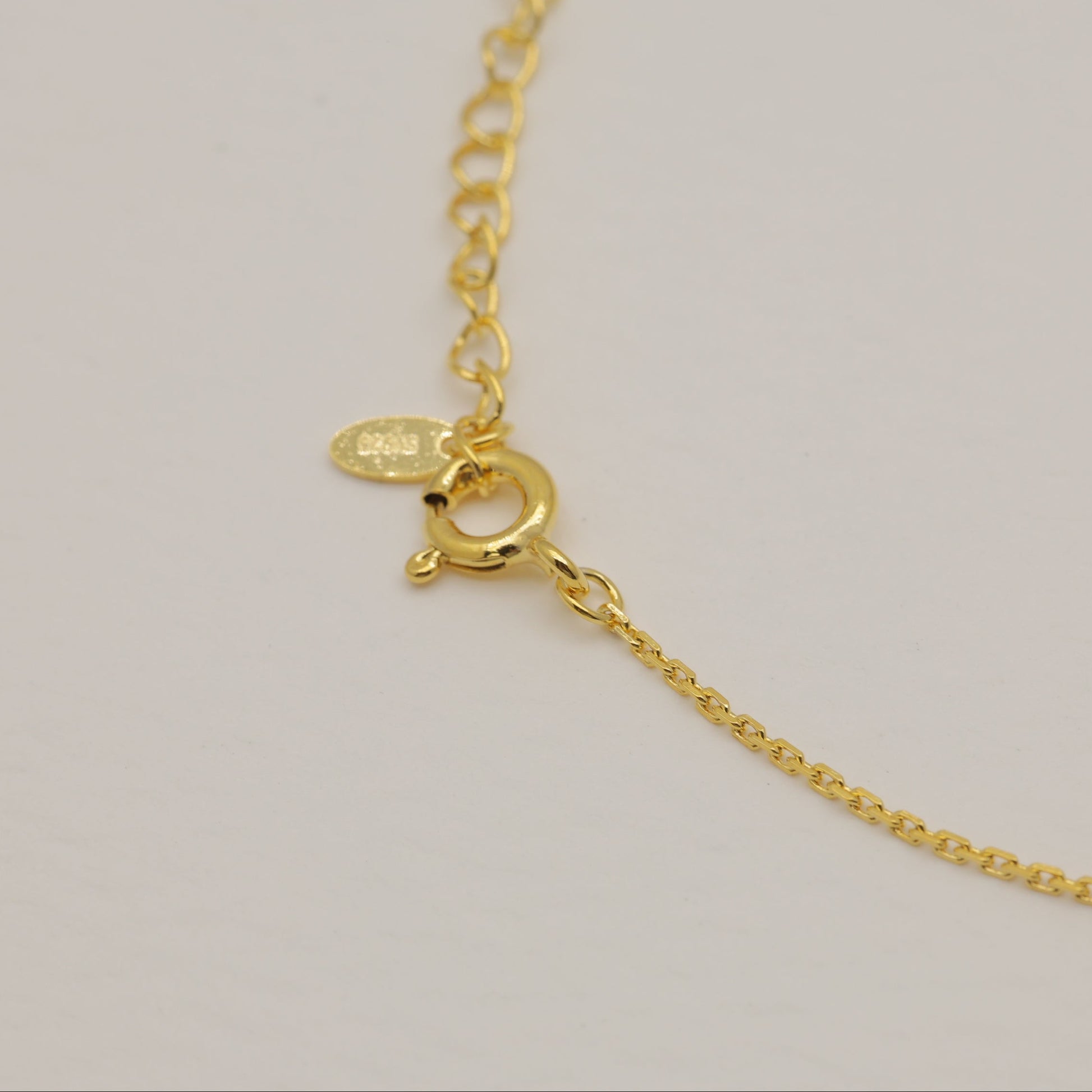 Gold necklace with a turtle clasp on a light gray background