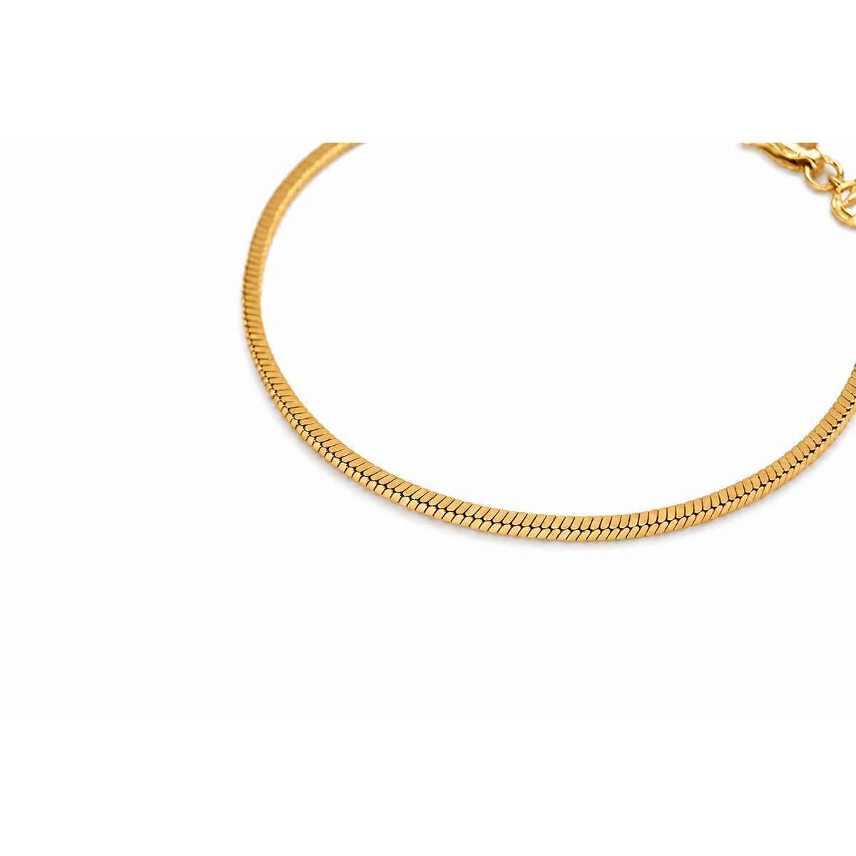 Éliane Snake Chain Bracelet in Gold Vermeil chain detail