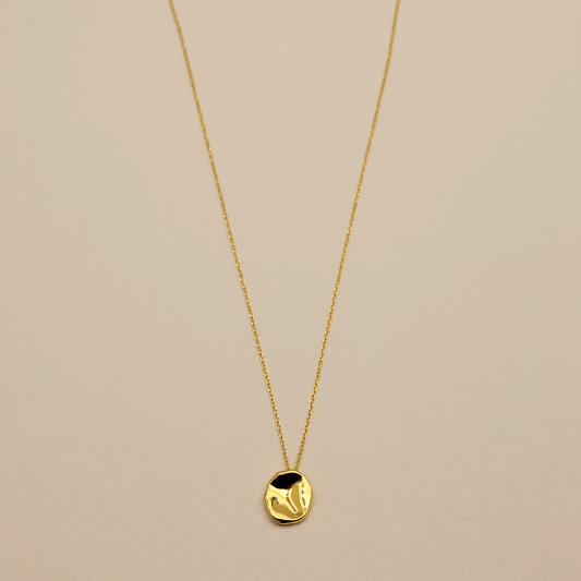 Polished gold vermeil coin pendant necklace on chain – MOA Jewelry