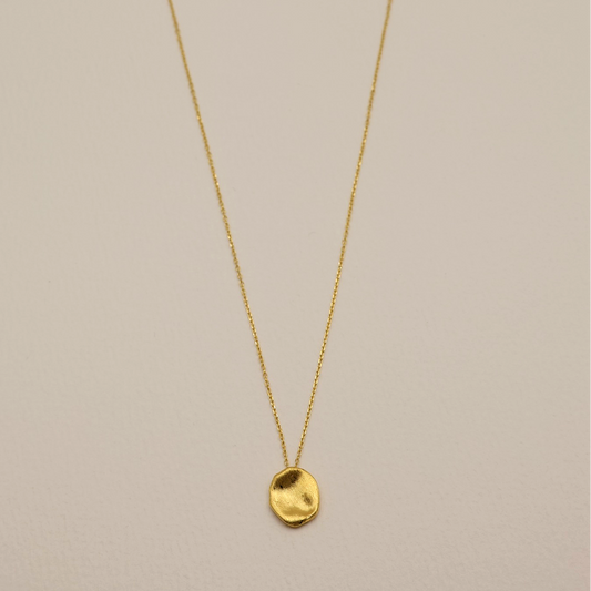 Léontine Necklace full view—delicate gold vermeil chain suspended with a sculptural, textured disc pendant.