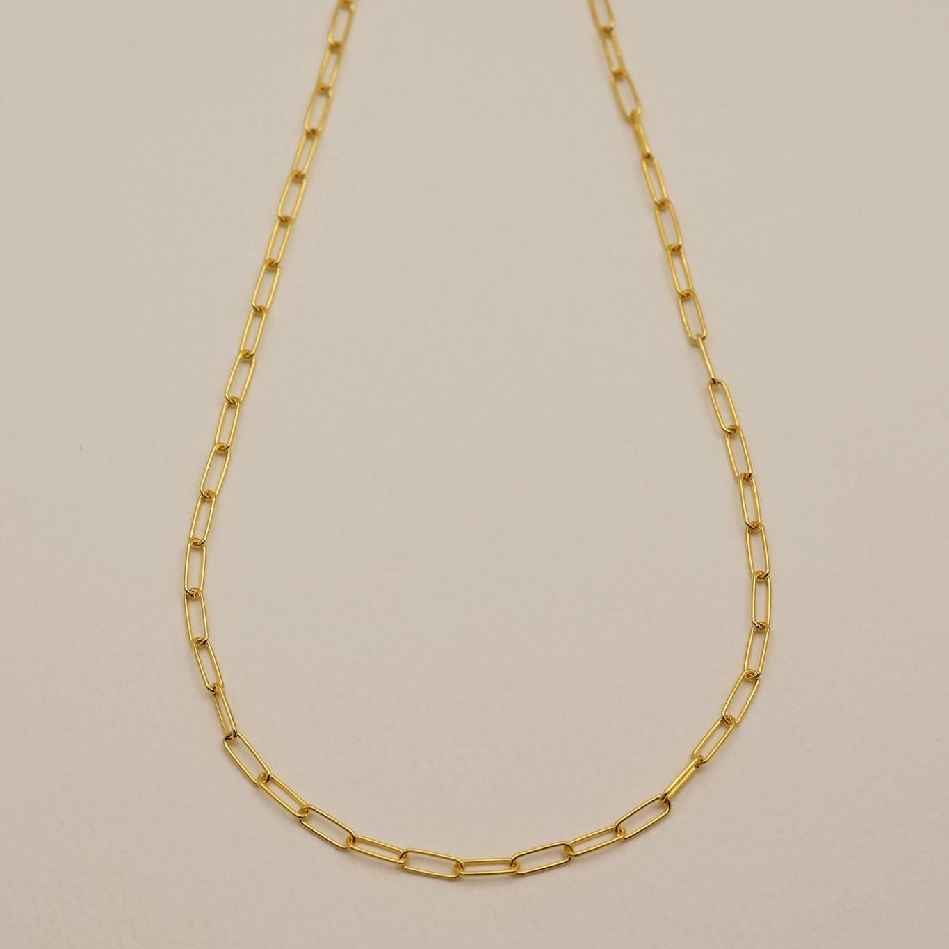 Full-length gold vermeil chain necklace with clasp and extender detail.