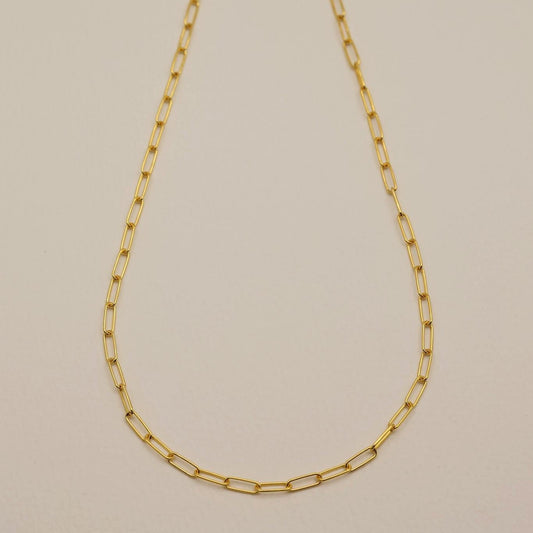 Full-length gold vermeil chain necklace with clasp and extender detail.