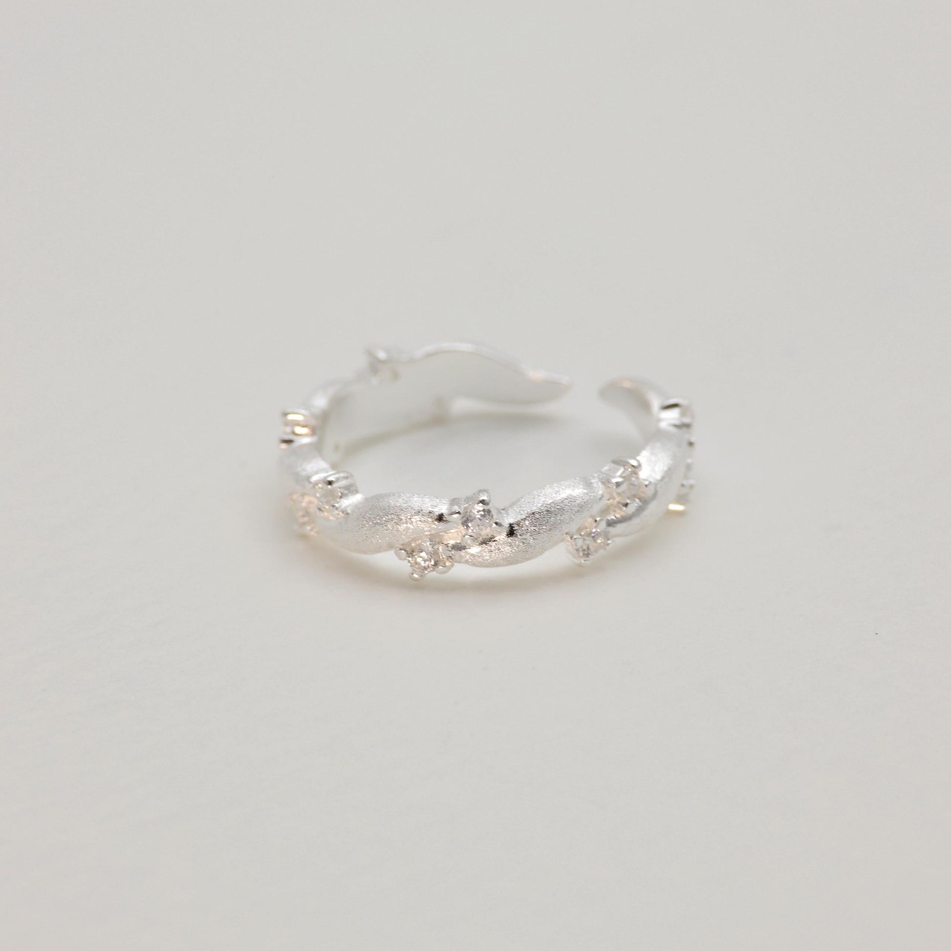 Detail of curved silver surface
