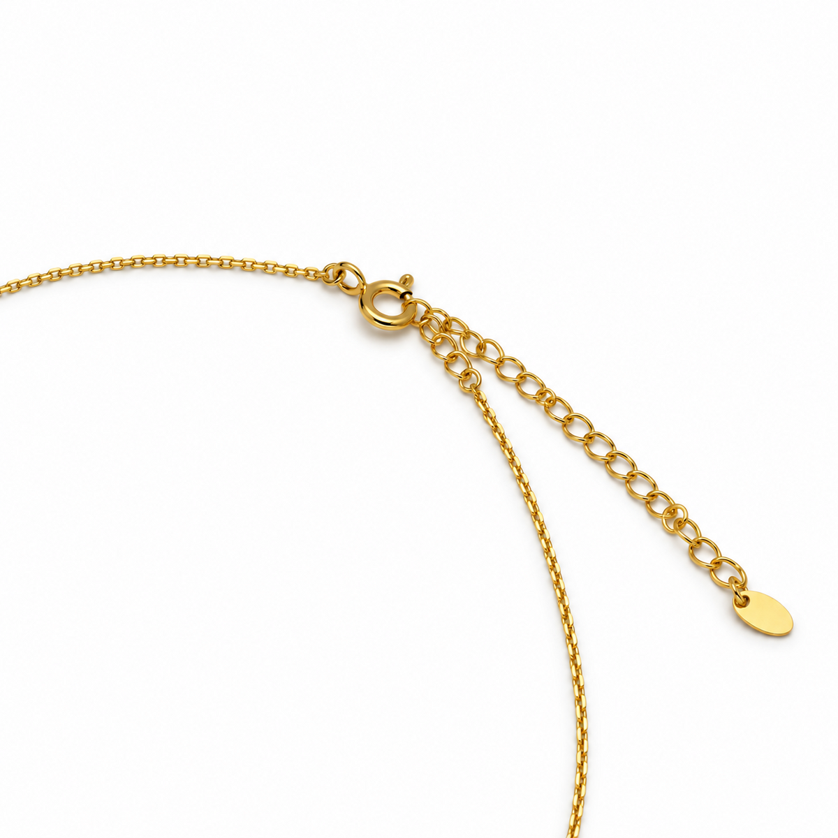 Mireille Two Tone Heart Station Necklace clasp and extender